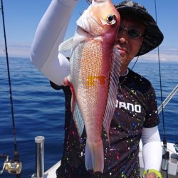 ARCADIAⅡ (アルカディアⅡ) 釣果