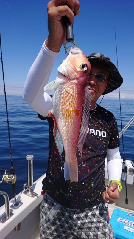 ARCADIAⅡ (アルカディアⅡ) 釣果