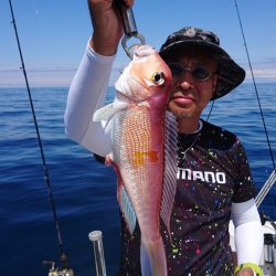 ARCADIAⅡ (アルカディアⅡ) 釣果