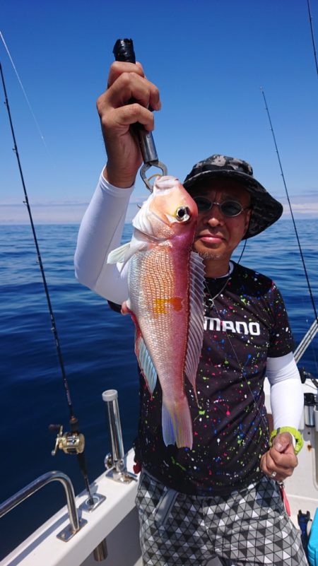 ARCADIAⅡ (アルカディアⅡ) 釣果