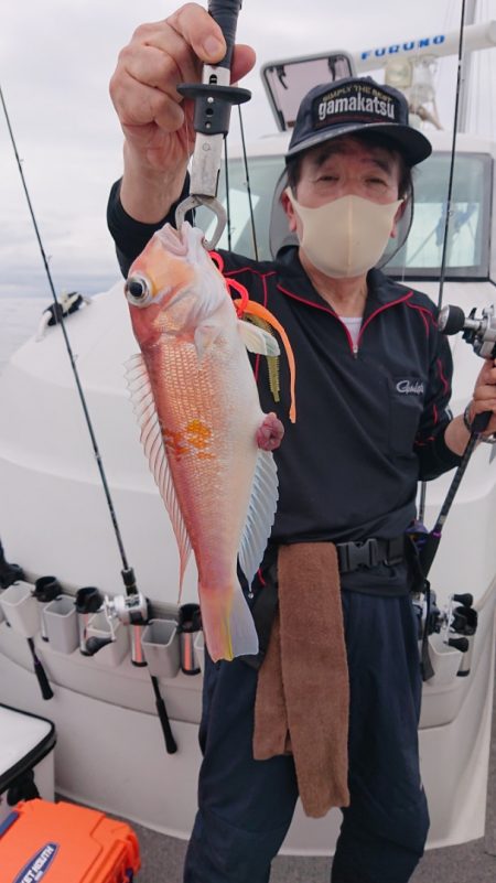 ARCADIAⅡ (アルカディアⅡ) 釣果