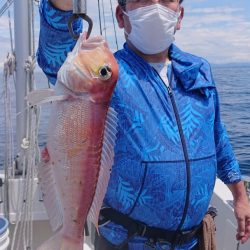 ARCADIAⅡ (アルカディアⅡ) 釣果