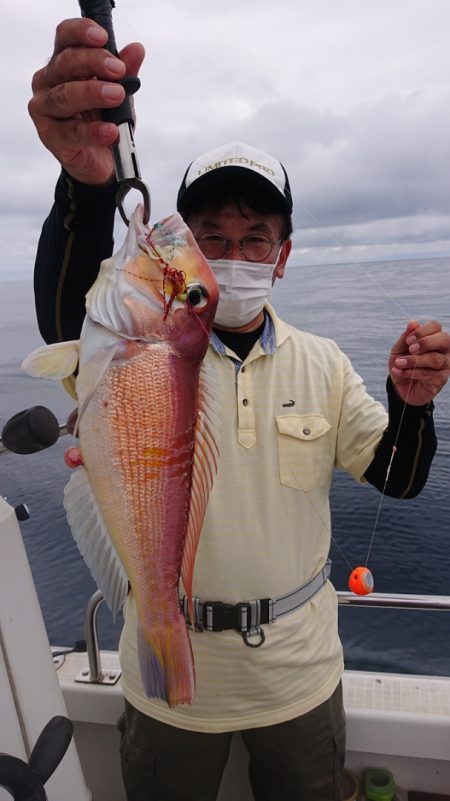 ARCADIAⅡ (アルカディアⅡ) 釣果