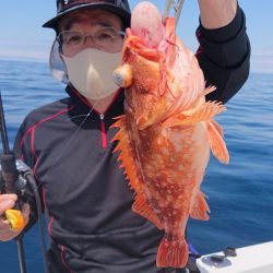 ARCADIAⅡ (アルカディアⅡ) 釣果