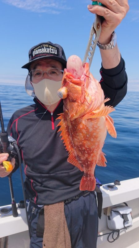 ARCADIAⅡ (アルカディアⅡ) 釣果