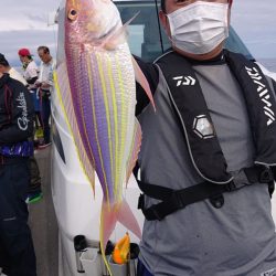 ARCADIAⅡ (アルカディアⅡ) 釣果