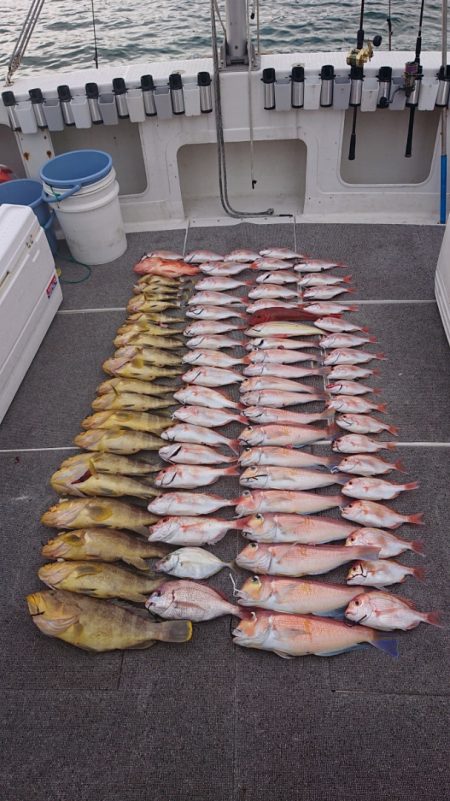 ARCADIAⅡ (アルカディアⅡ) 釣果