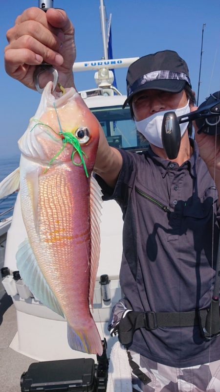 ARCADIAⅡ (アルカディアⅡ) 釣果