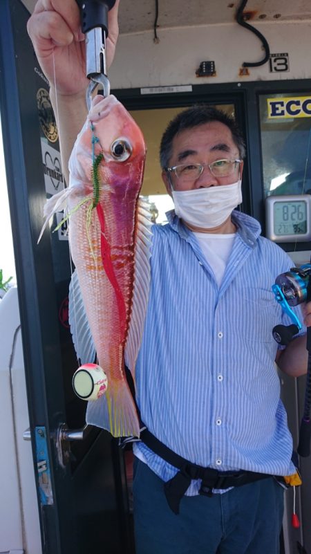 ARCADIAⅡ (アルカディアⅡ) 釣果