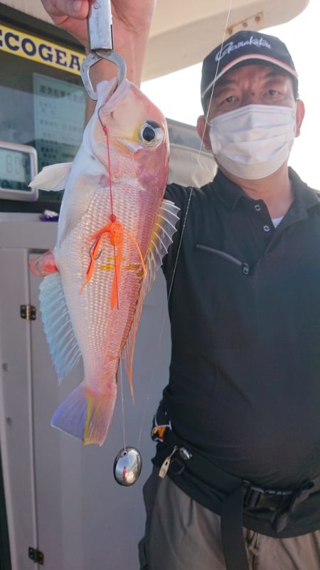 ARCADIAⅡ (アルカディアⅡ) 釣果