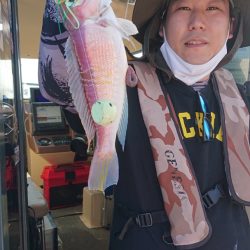 ARCADIAⅡ (アルカディアⅡ) 釣果