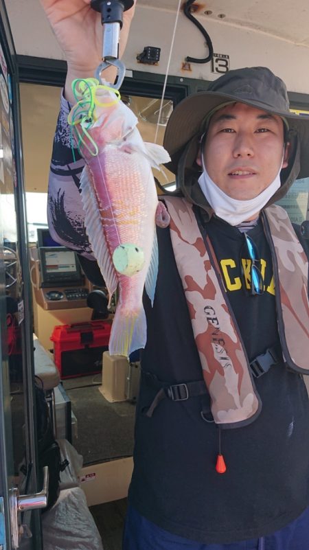 ARCADIAⅡ (アルカディアⅡ) 釣果