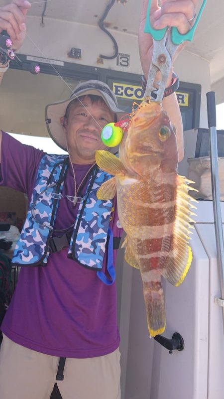 ARCADIAⅡ (アルカディアⅡ) 釣果