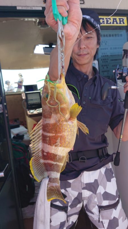 ARCADIAⅡ (アルカディアⅡ) 釣果