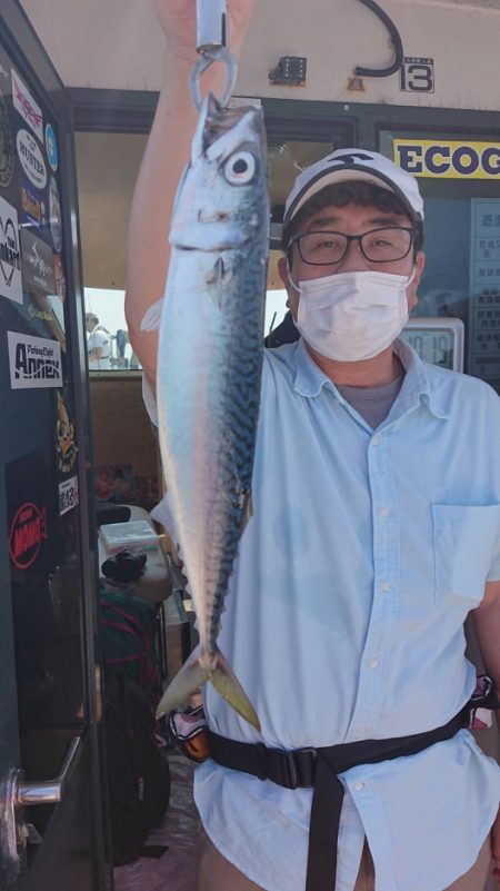 ARCADIAⅡ (アルカディアⅡ) 釣果