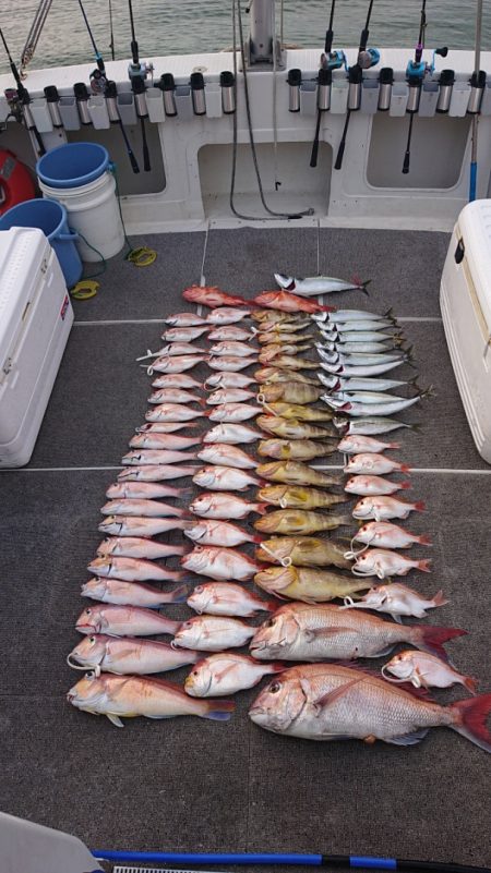 ARCADIAⅡ (アルカディアⅡ) 釣果