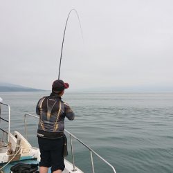 シースナイパー海龍 釣果