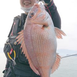 シースナイパー海龍 釣果
