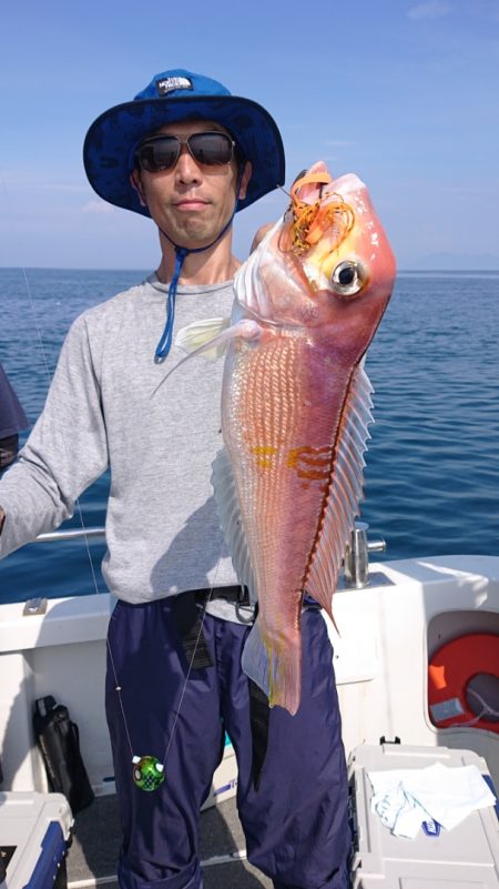 ARCADIAⅡ (アルカディアⅡ) 釣果