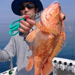 ARCADIAⅡ (アルカディアⅡ) 釣果