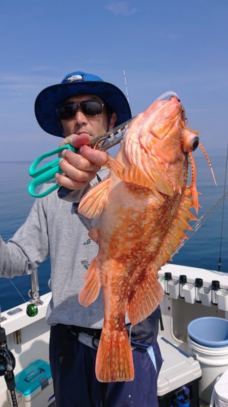 ARCADIAⅡ (アルカディアⅡ) 釣果