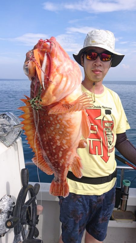 ARCADIAⅡ (アルカディアⅡ) 釣果