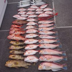 ARCADIAⅡ (アルカディアⅡ) 釣果