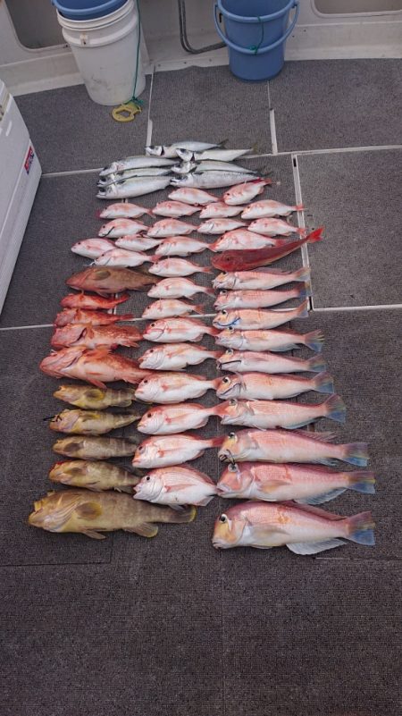 ARCADIAⅡ (アルカディアⅡ) 釣果