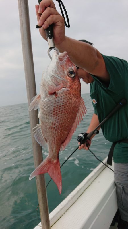だて丸 釣果