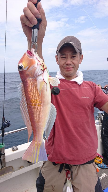 ARCADIAⅡ (アルカディアⅡ) 釣果