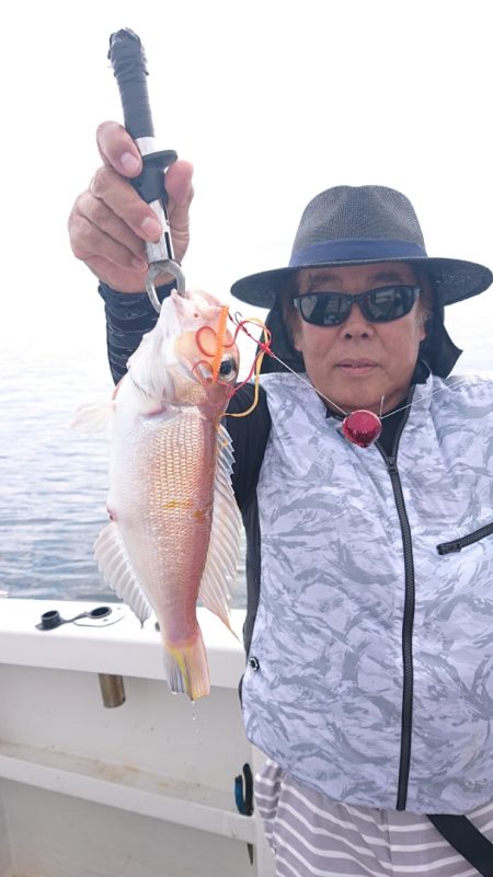 ARCADIAⅡ (アルカディアⅡ) 釣果