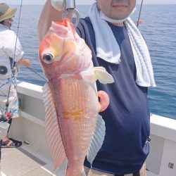 ARCADIAⅡ (アルカディアⅡ) 釣果