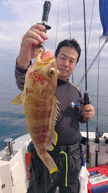 ARCADIAⅡ (アルカディアⅡ) 釣果