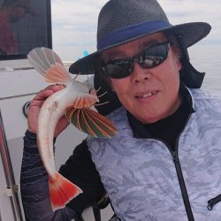 ARCADIAⅡ (アルカディアⅡ) 釣果