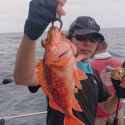 ARCADIAⅡ (アルカディアⅡ) 釣果