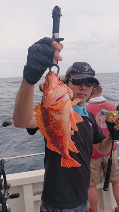 ARCADIAⅡ (アルカディアⅡ) 釣果