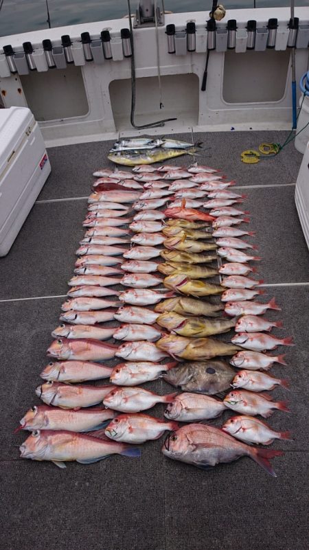 ARCADIAⅡ (アルカディアⅡ) 釣果