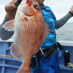 新幸丸 釣果