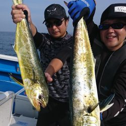 第三共栄丸 釣果