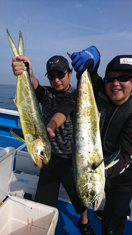 第三共栄丸 釣果