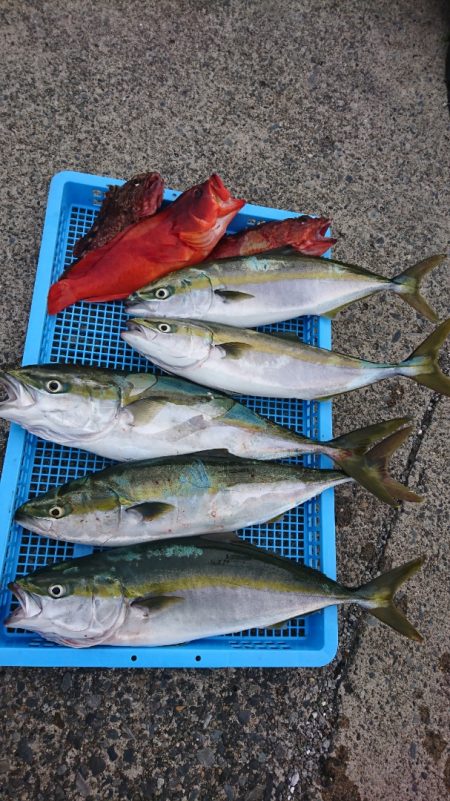 第三共栄丸 釣果