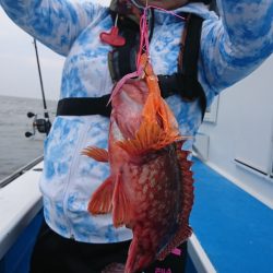 第三共栄丸 釣果