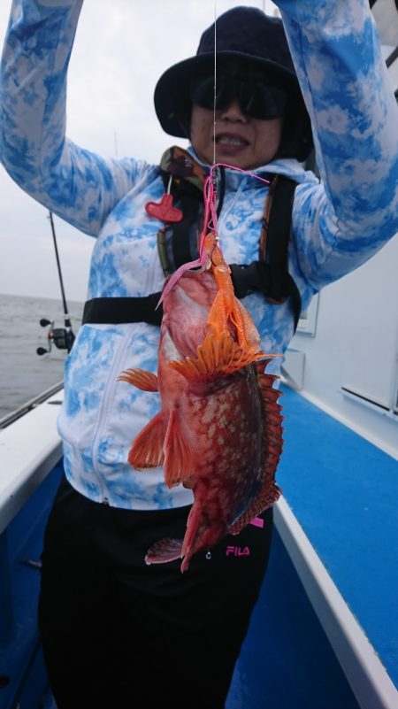 第三共栄丸 釣果