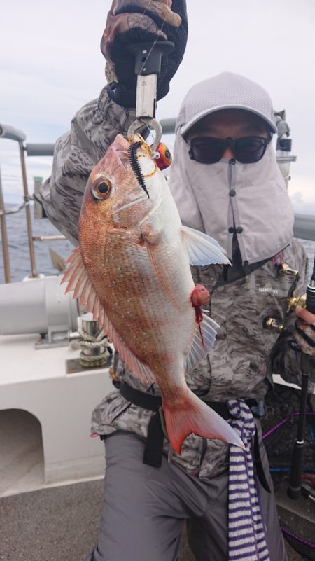 ARCADIAⅡ （アルカディアⅡ） 釣果…