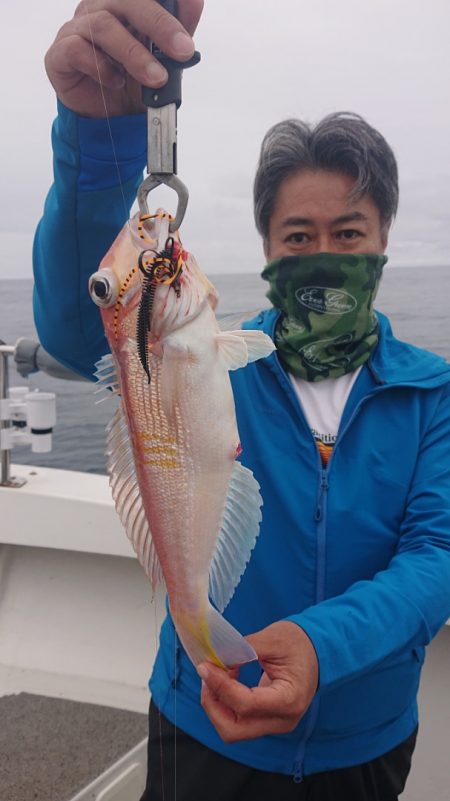 ARCADIAⅡ (アルカディアⅡ) 釣果