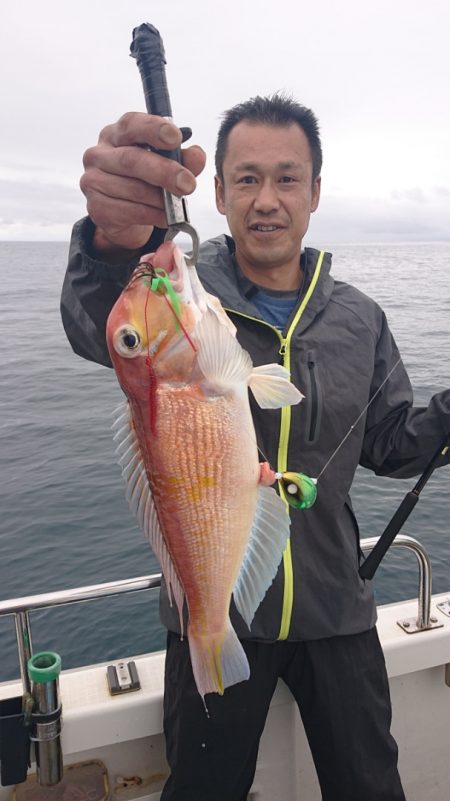 ARCADIAⅡ (アルカディアⅡ) 釣果