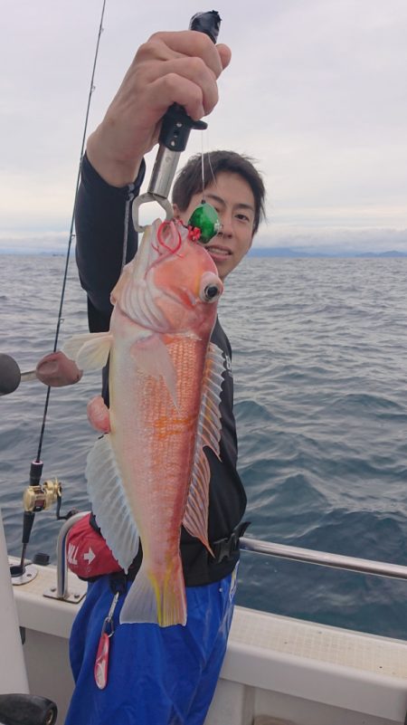 ARCADIAⅡ (アルカディアⅡ) 釣果