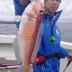 ARCADIAⅡ (アルカディアⅡ) 釣果