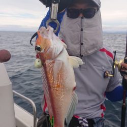 ARCADIAⅡ (アルカディアⅡ) 釣果