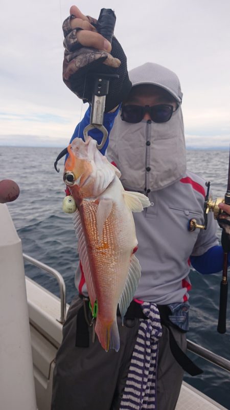 ARCADIAⅡ (アルカディアⅡ) 釣果